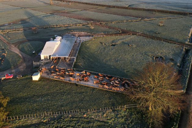 New Zealand dairy farmers pocket billions from huge capital payout