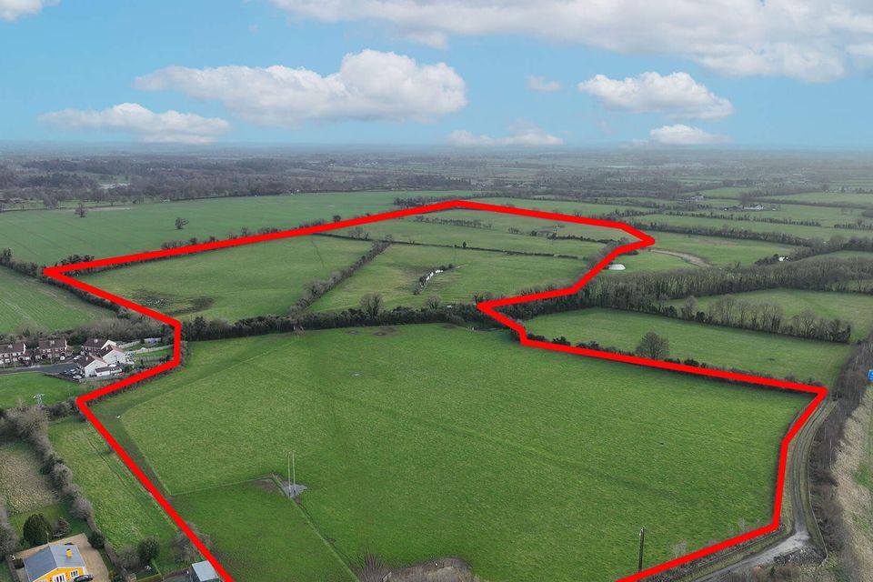 Frontage: This 87ac farm at Gardenrath near Kells, Co Meath was bought by an online bidder and made almost €25,000/ac.
