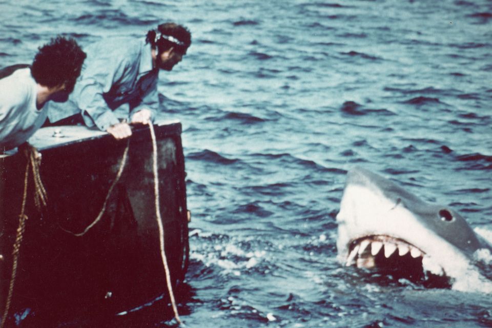 Richard Dreyfuss (left) and Robert Shaw in a scene from 'Jaws'. Photo: Getty