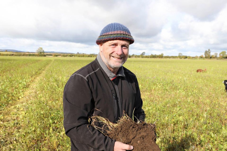 Nurture: Andrew Bergin with a soil sample on his farm. Photo: Alf Harvey