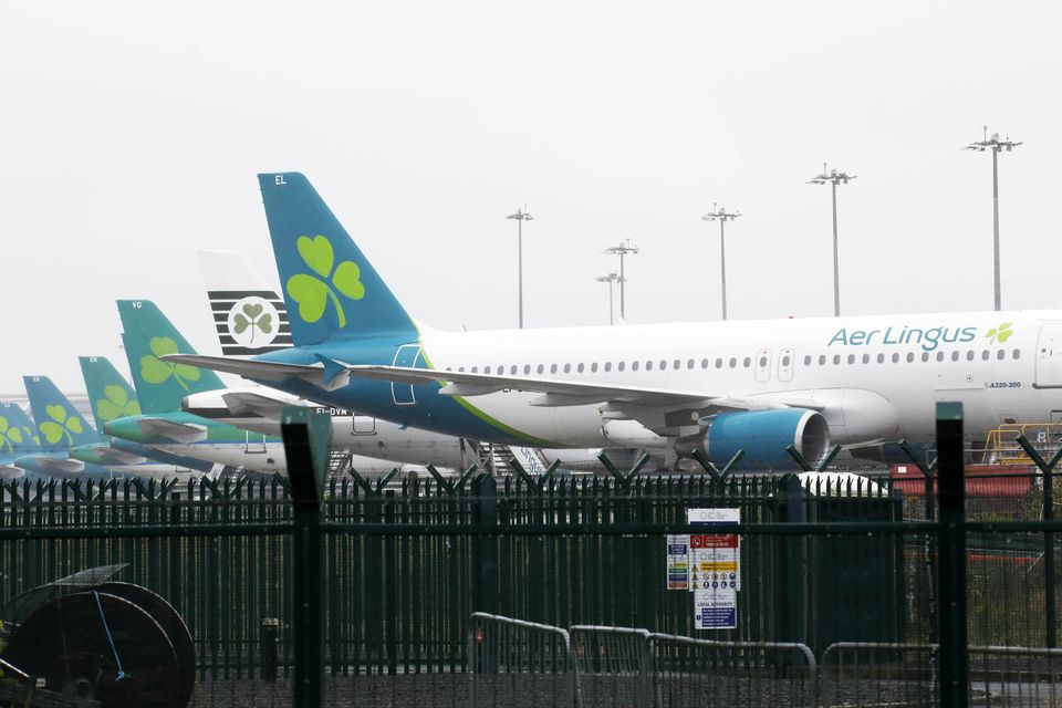 Rows of Aer Lingus planes on the stand at Dublin Airport. Photo: Rolling News