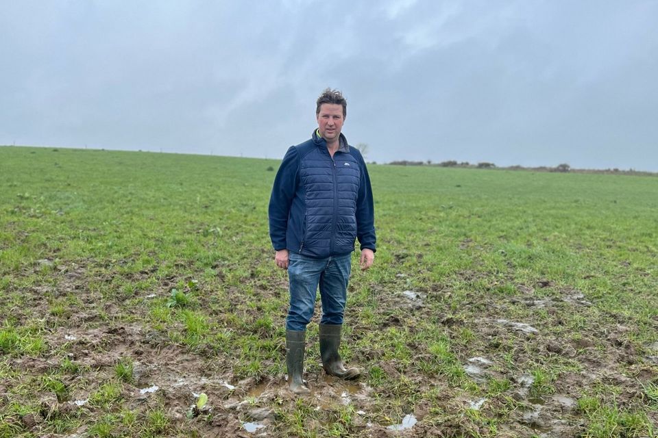 Independent New Ross Municipal District candidate, Marty Murphy in one of his rain sodden fields. 