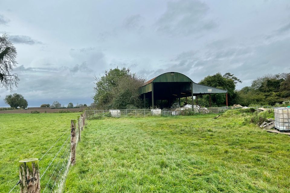 Versatile 110ac Kildare farm is blank canvas for new owner at