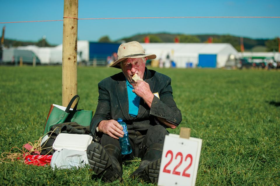 Thomas Cunningham from Galway taking a break from Loy digging on day two of  the National Ploughing Championships in Ratheniska. Pic: Mark Condren