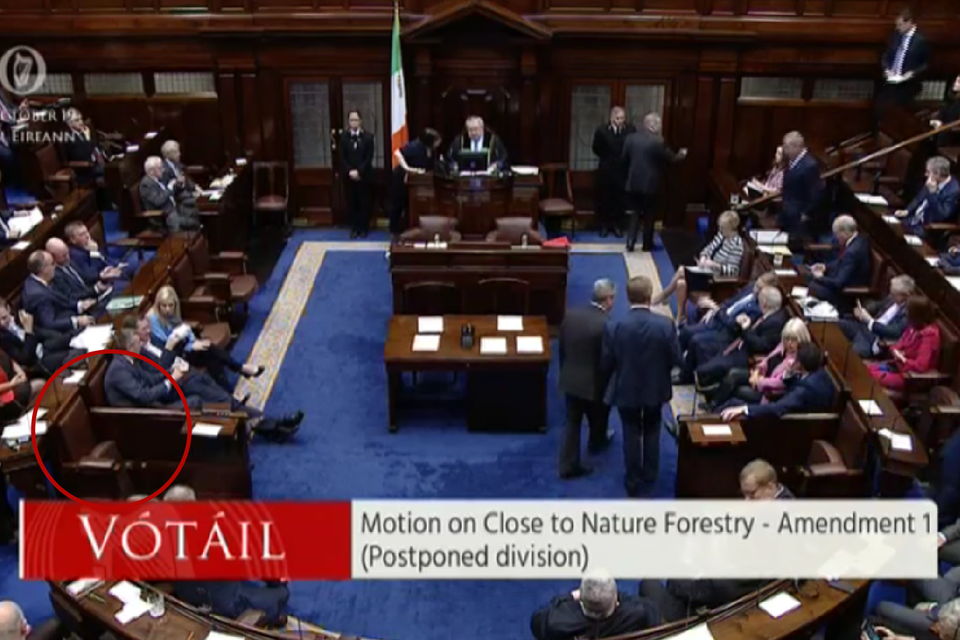 A screengrab from the chamber which shows that Fianna Fáil TD Timmy Dooley was absent from his seat during a Dail vote
