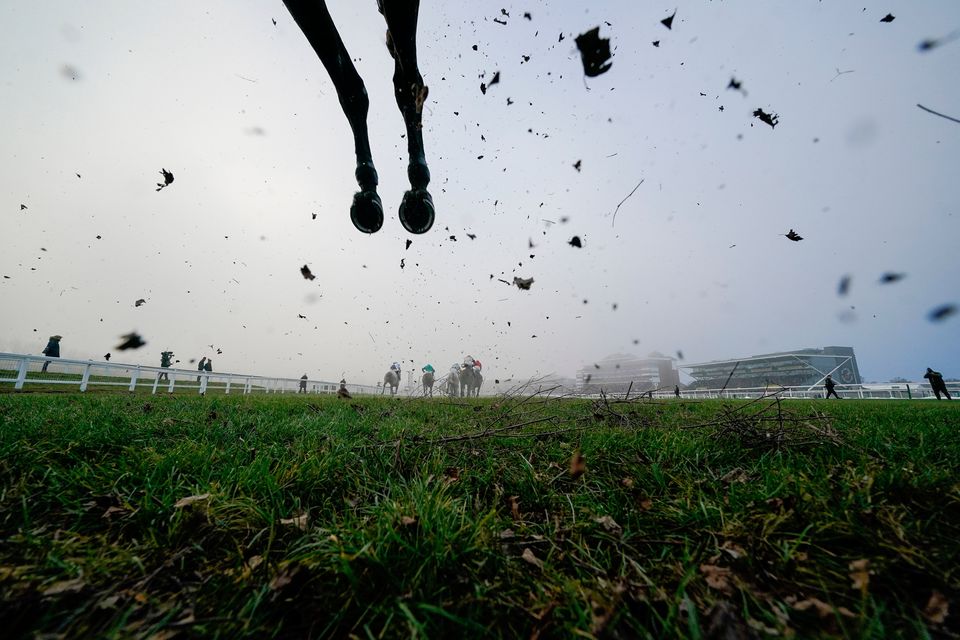 Today's card at Southwell has been abandoned along with Thursday's action at Leicester.