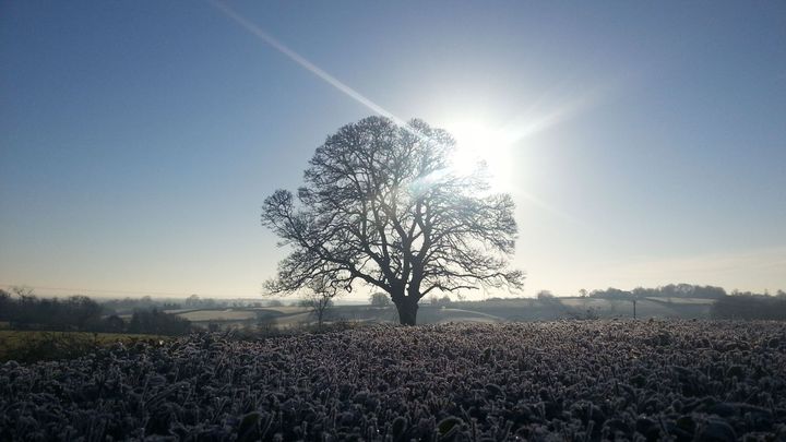 Yellow weather alert issued for whole country amid snow and ice threat