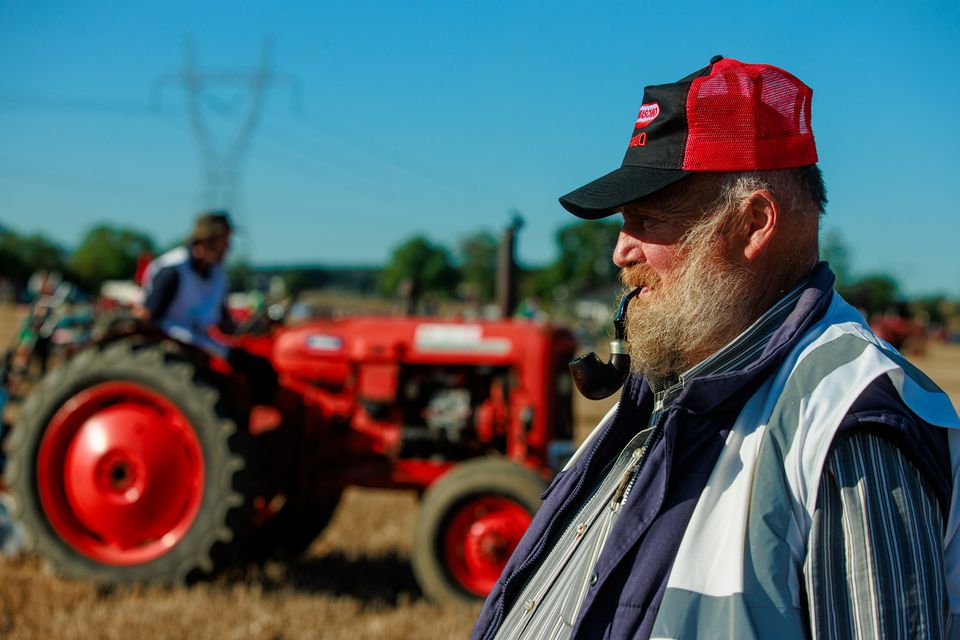 Enjoying day two of  the National Ploughing Championships in Ratheniska. Pic: Mark Condren