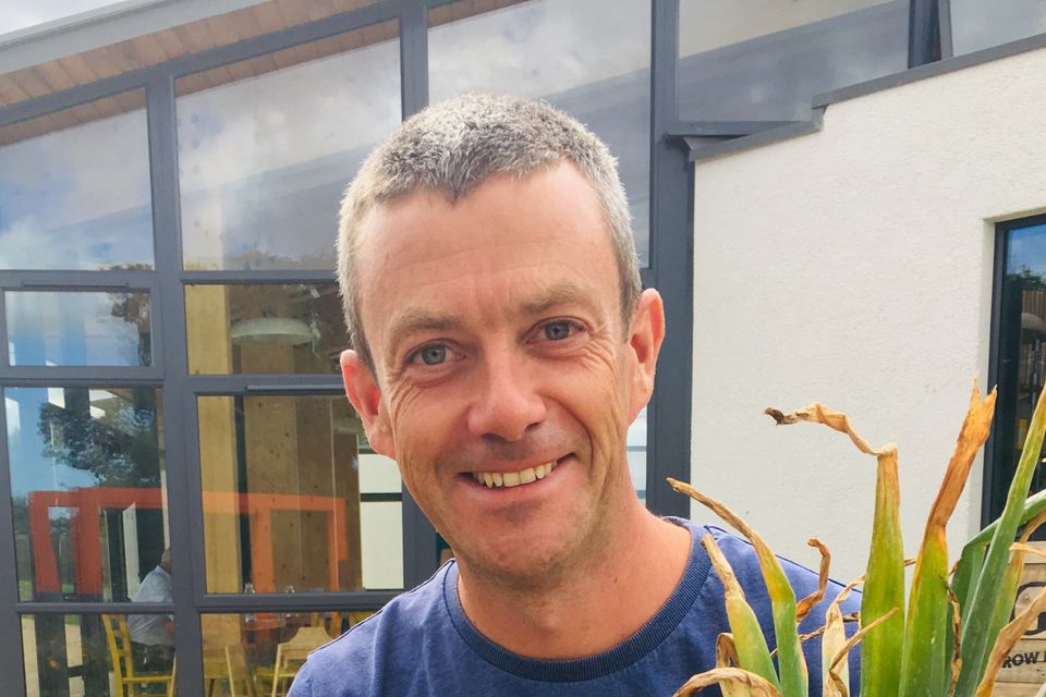 Sustainability message: Michael Kelly, founder of Grow It Yourself (GIY) in Waterford city, said the past 10 weeks have helped underline the message they have been campaigning on