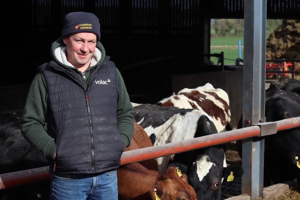 Always looking to improve: Michael Clarke on his farm just outside Rochfortbridge, Co Westmeath. Photos: Niall Hurson