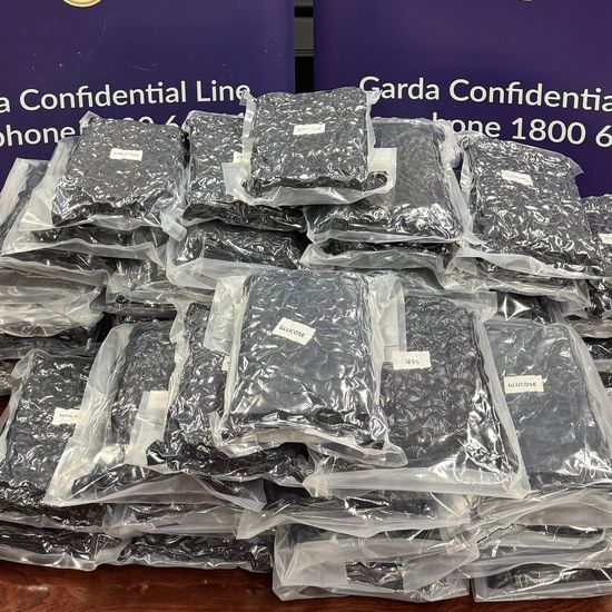 independent.ie - Neil Fetherstonhaugh - Gardaí arrest two men (20s) following seizure of cannabis worth €460k in Dublin raid