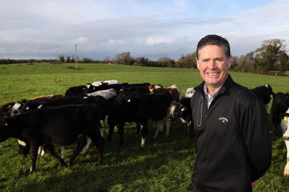 How this North Co Dublin dairy farmer rebooted the family trade and ...