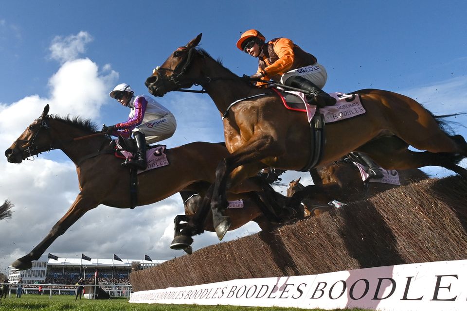 Noble Yeats (right) during last year's Cheltenham Gold Cup. Photo by Harry Murphy/Sportsfile