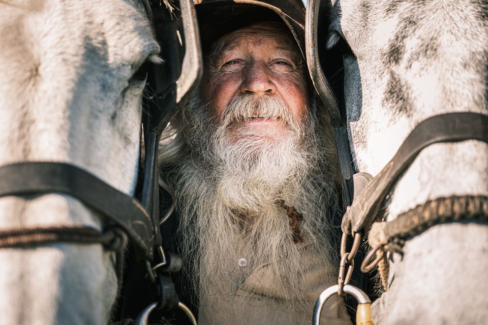 Ploughman Jerry Dennehy from Kerry with his horses on day of  the National Ploughing Championships in Ratheniska. Photo: Mark Condren