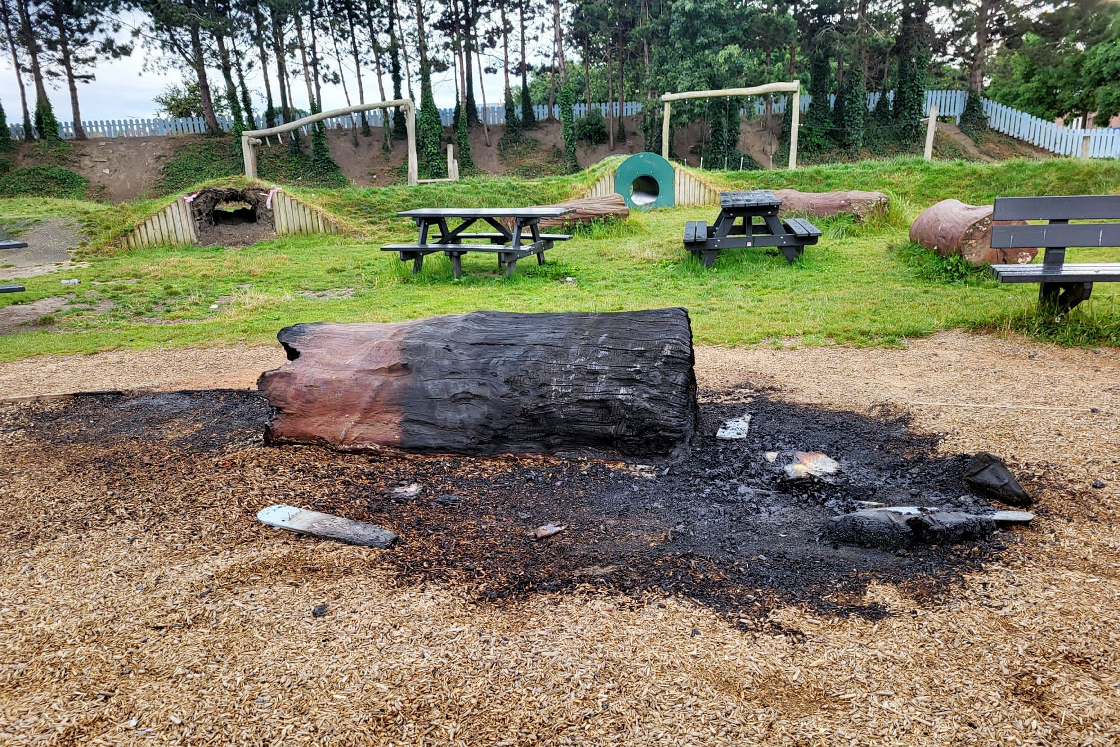 Review and photos of Ringsend Park playground