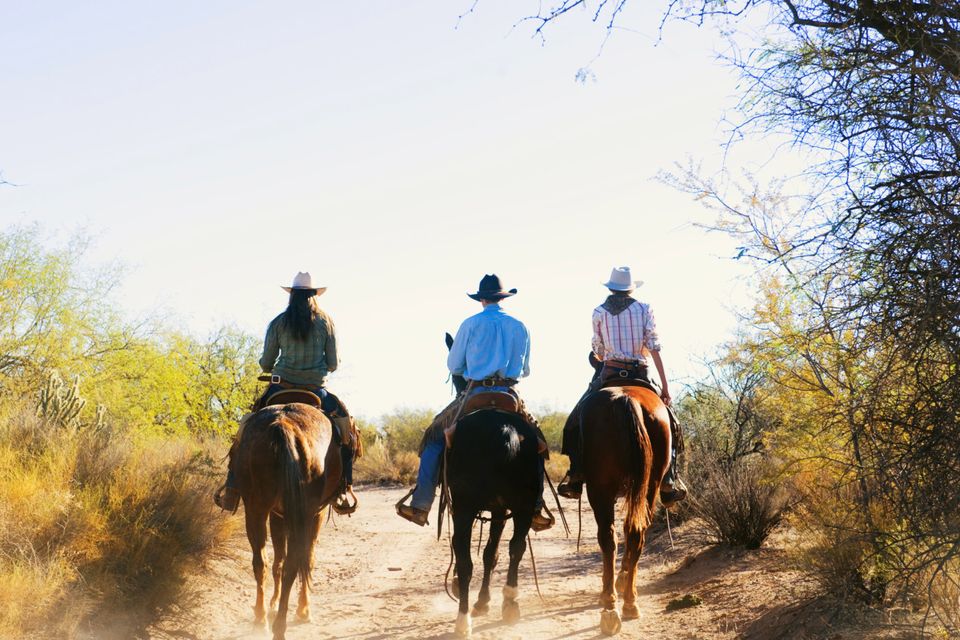 Riders on a dirt path in Arizona.