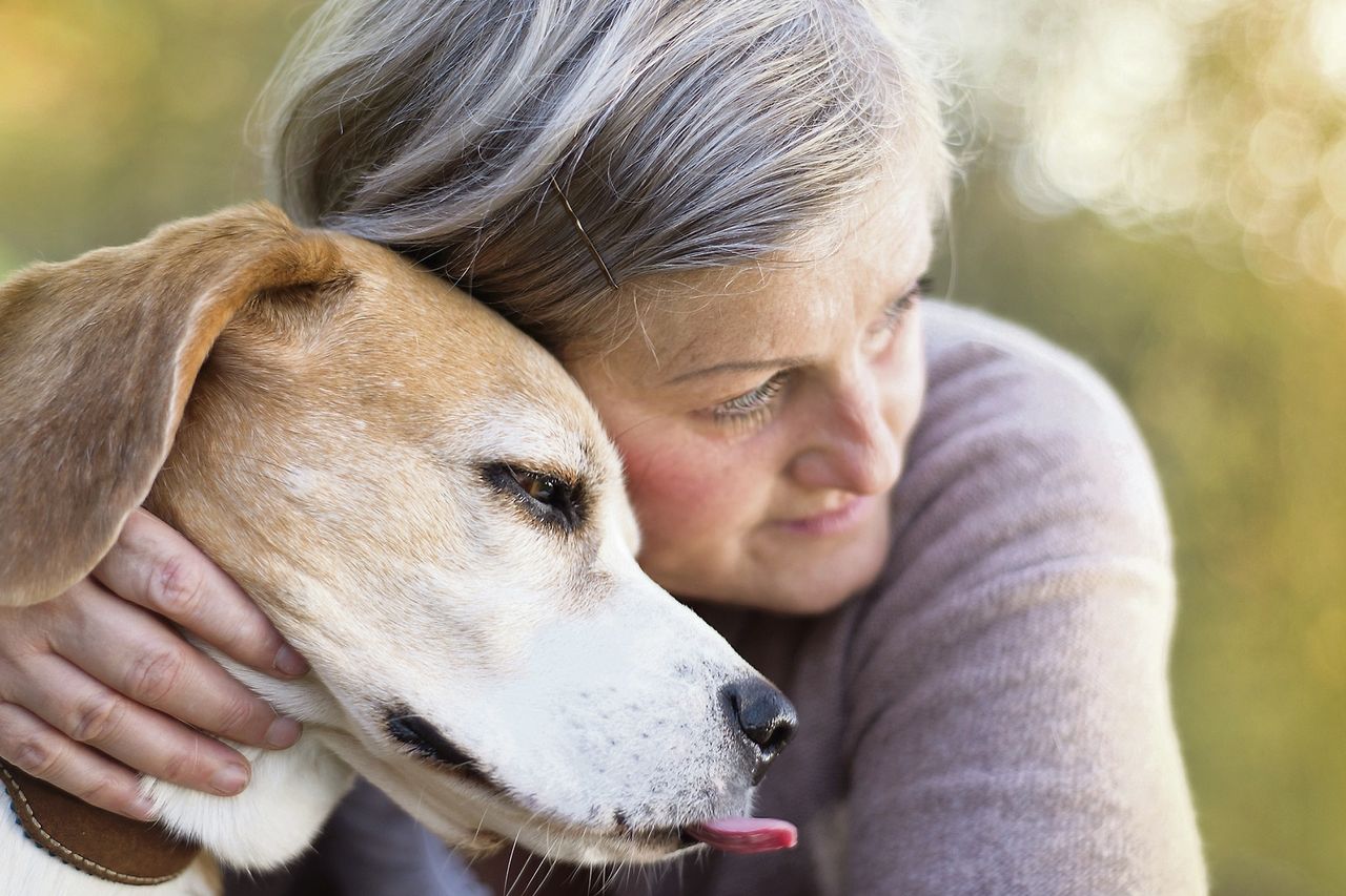 Dr Mark Harrold: Dogs Truly Are Mankind's Best Friend 