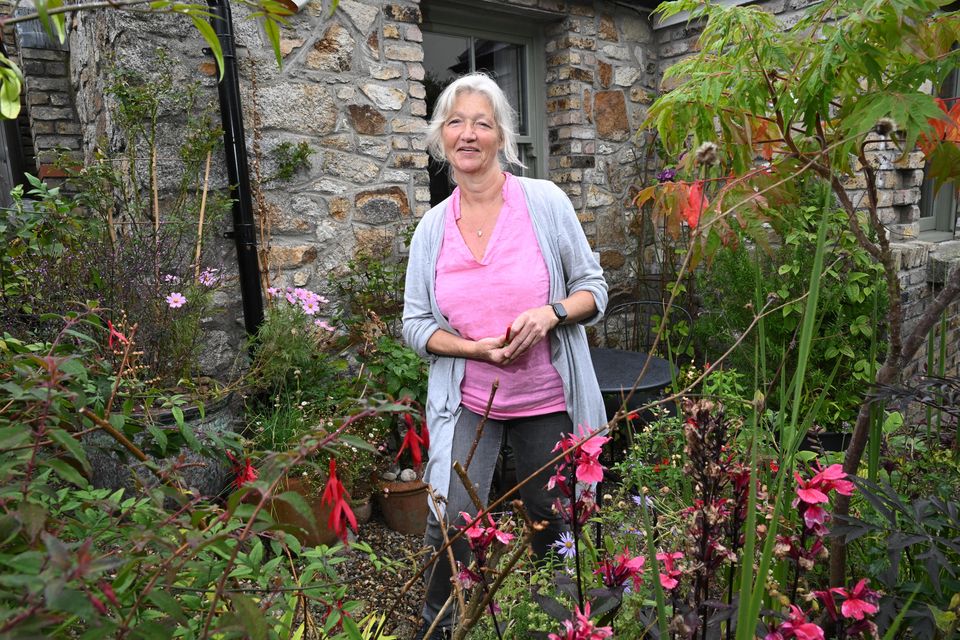 Bono might live close by, but the real celebrities are the wildlife in the garden of this 1833 granite cottage