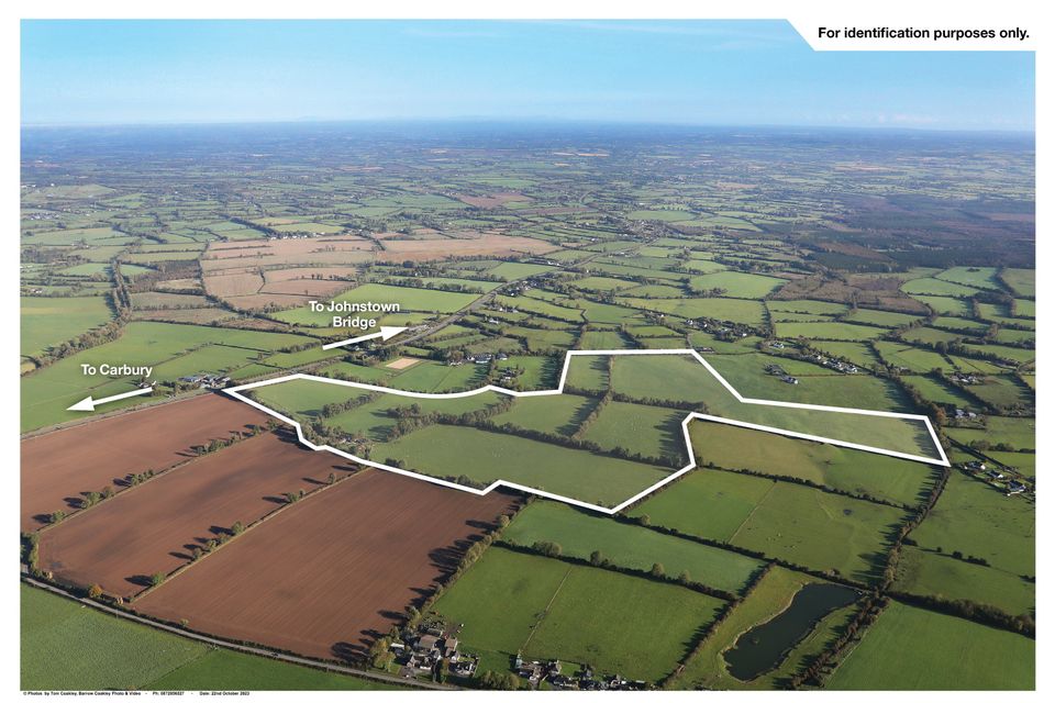 Versatile 110ac Kildare farm is blank canvas for new owner at