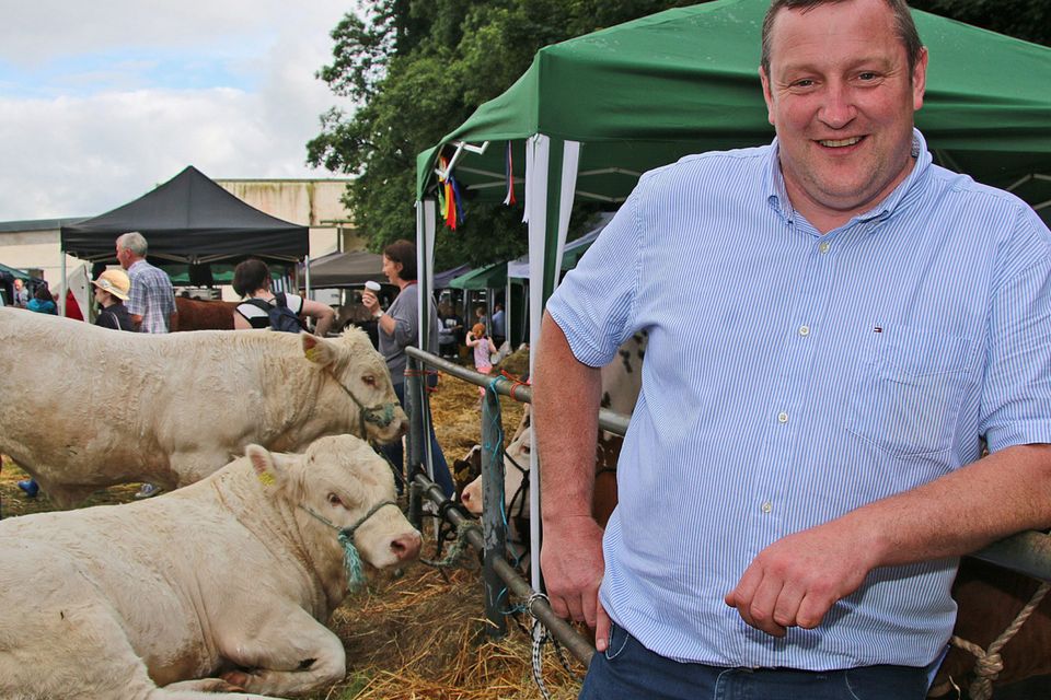 On the farm Owen Brodie Irish Independent