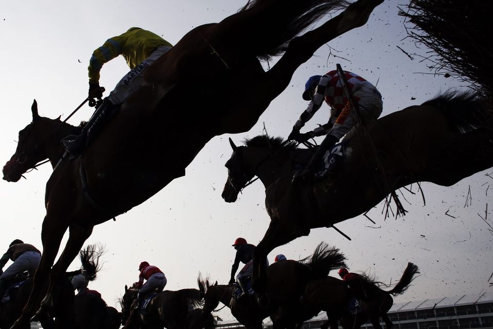 Last Friday, two horses died in separate incidents, with four-year-old Counter Shy put down after pulling up badly lame in a hurdle race, and nine-year-old Need To Know snapping his near-hind leg after slipping on the landing side of a banked area in a cross-country race. Photo: Stock Image