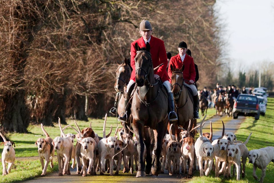 Horses... Masters of the hounds | Irish Independent