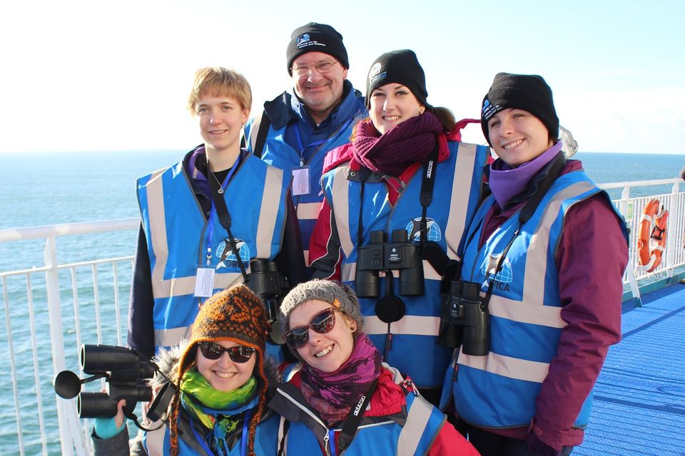 Passengers enjoying a 'Sea Safari' on Brittany Ferries