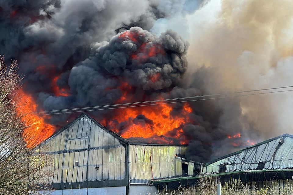 The fire at the Culcita plant near New Ross, Co Wexford. Photo: Cian Foley