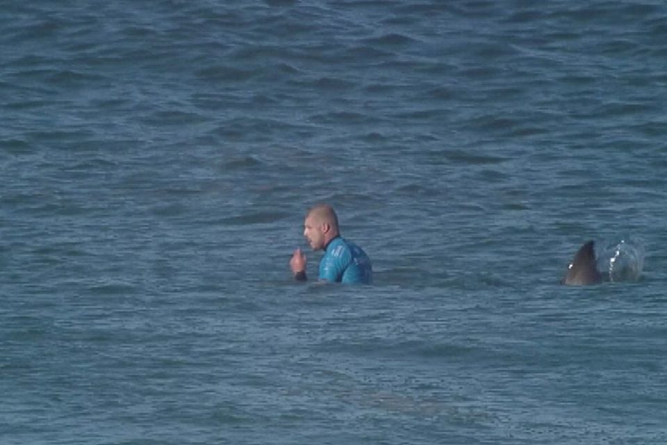 Surfer Mick Fanning moments before he was knocked off his board by a shark (World Surf League of Australian)