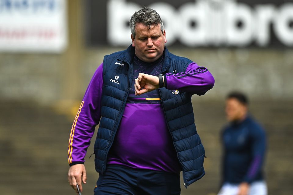 Wexford seeking new hurling manager as Darragh Egan's term isn't