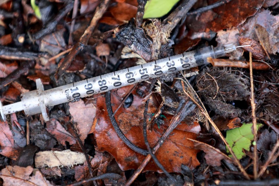 Despite patrols, drug users are openly injecting themselves in a large section of the park used every day by children