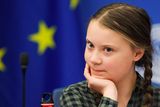 thumbnail: Greta Thunberg refuses to fly to help the environment