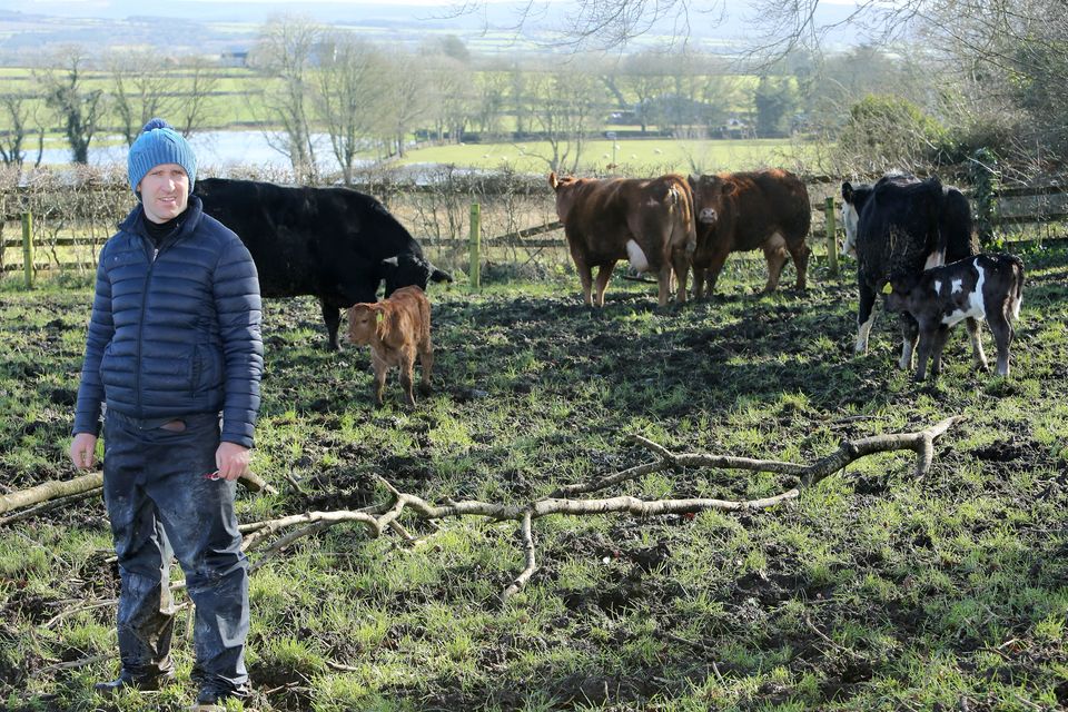 Aonghusa Fahy on his Galway farm. Photo: Hany Marzouk
