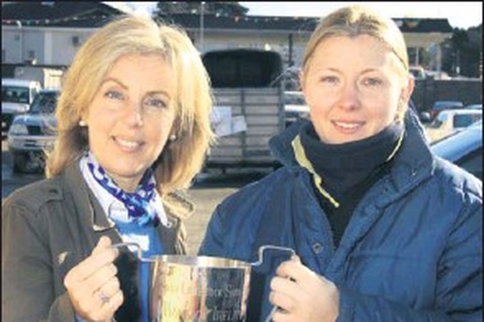 Quality heifers at 30th annual show | Irish Independent