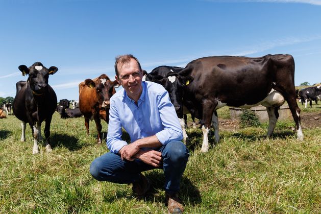 Darragh McCullough: 19 days off a year? No wonder dairy farming can’t get new entrants