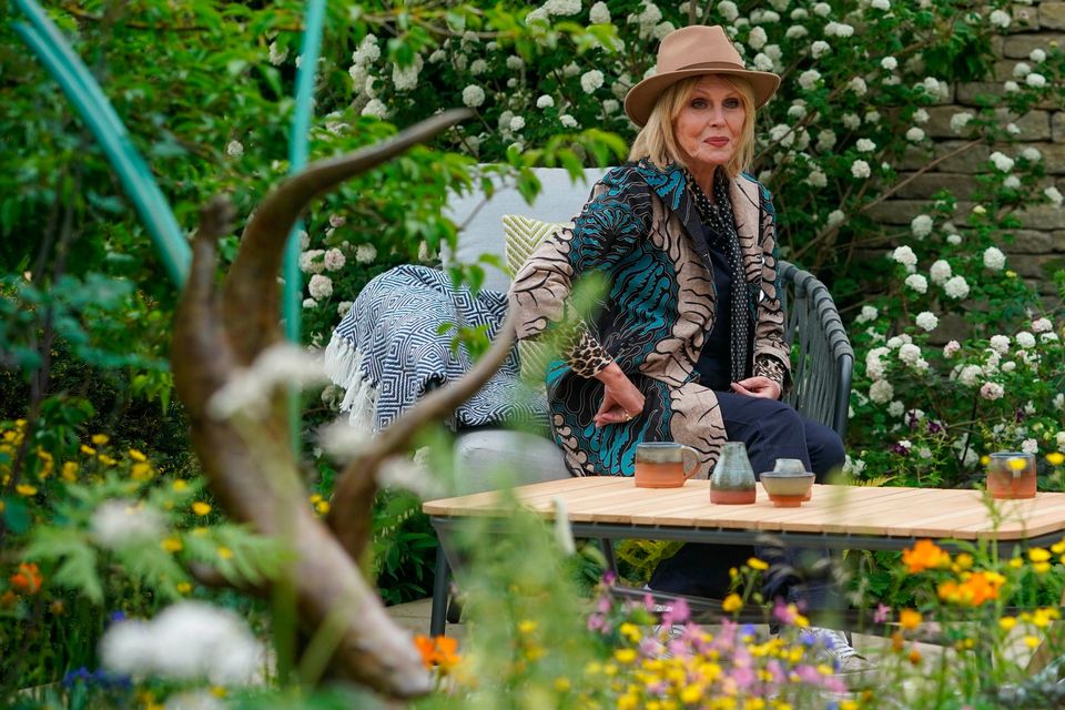Joanna Lumley visiting the RSPCA Garden during the RHS Chelsea Flower Show. Photo by Jeff Moore/PA Wire