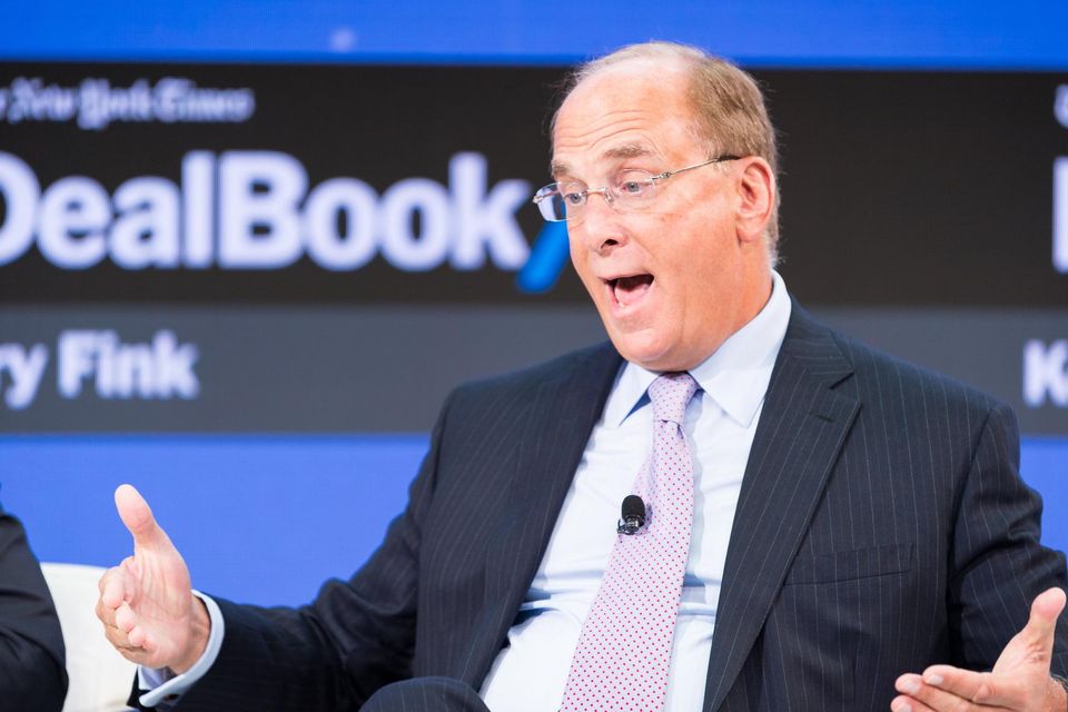 BlackRock chief executive Larry Fink appears to have lifted his talking points directly from the energy industry. Photo: Michael Cohen/Getty Images