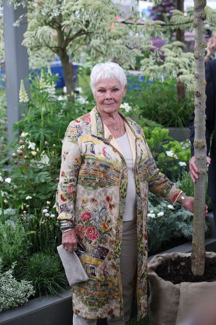 Dame Judi Dench with a young elm tree at the RHS Chelsea Flower Show at the Royal Hospital Chelsea, London (Yui Mok/PA)