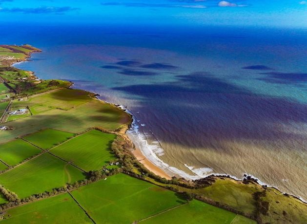 Wicklow County Council has purchased 21 acres of land at Magheramore, Co Wicklow, after the successful bidder at a recent auction for the site pulled out of the deal.