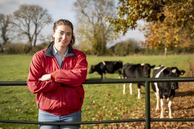 Grass-Fed’ Branding Has Been Hijacked By Ireland’s Dairy Competitors – And We Need To Fight Back