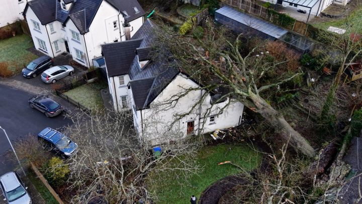 ‘My snoring saved her life’ — wife had just moved before enormous tree crashed into couple’s bedroom during Storm Éowyn