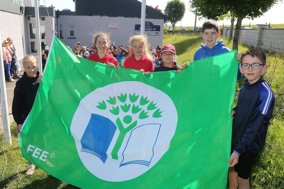 St.  Colman's NS Ballindaggin first Green Flag raising (Global Citizenship Litter & Waste).  In pictured: Jodie Brennan, Nellie Fortune, Beth Hipwell, Leah Brennan, Noah Nolan and Brian Cahill.