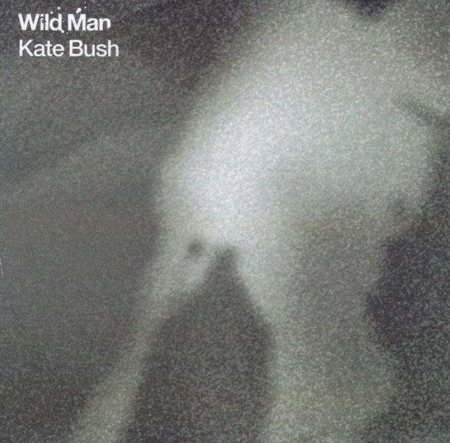Wild Man Kate Bush (2011)