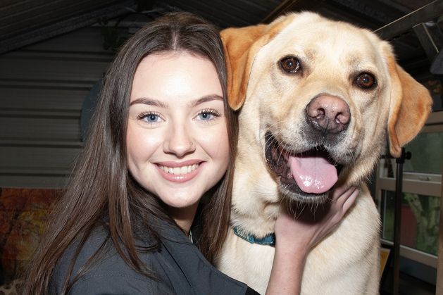 Award-winning Wexford dog groomer combines passion with family business success