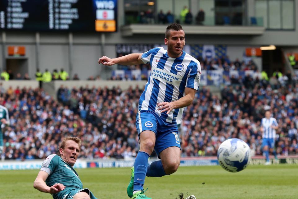 Tomer Hemed hopes to get off the mark for Brighton this weekend