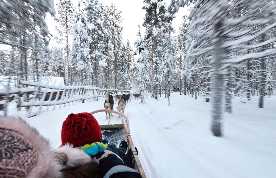 Husky sledding in Lapland. Photo: Pól Ó Conghaile