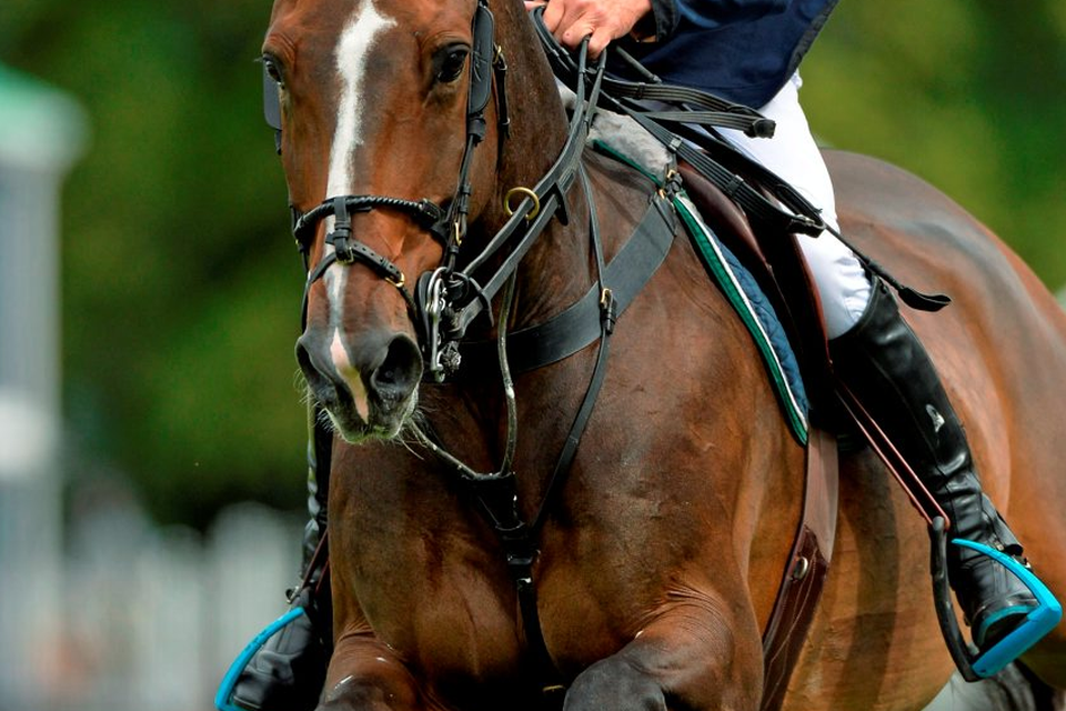 Denis Lynch finished 17th at the FEI European Championships in Aachen yesterday