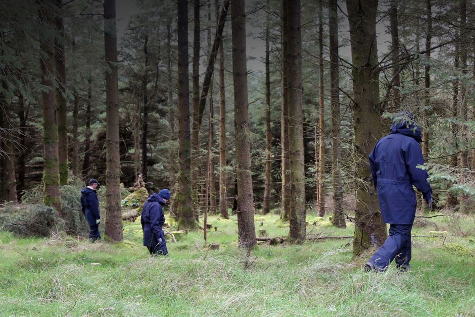 Gardaí searching in a wooded area on Ballinascorney Hill. Photo: Colin Keegan