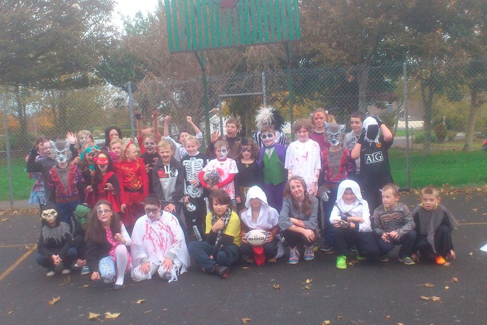 New Ross Participants