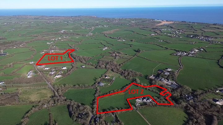 Wexford farmland with a derelict house sells for over €400,000 at online auction